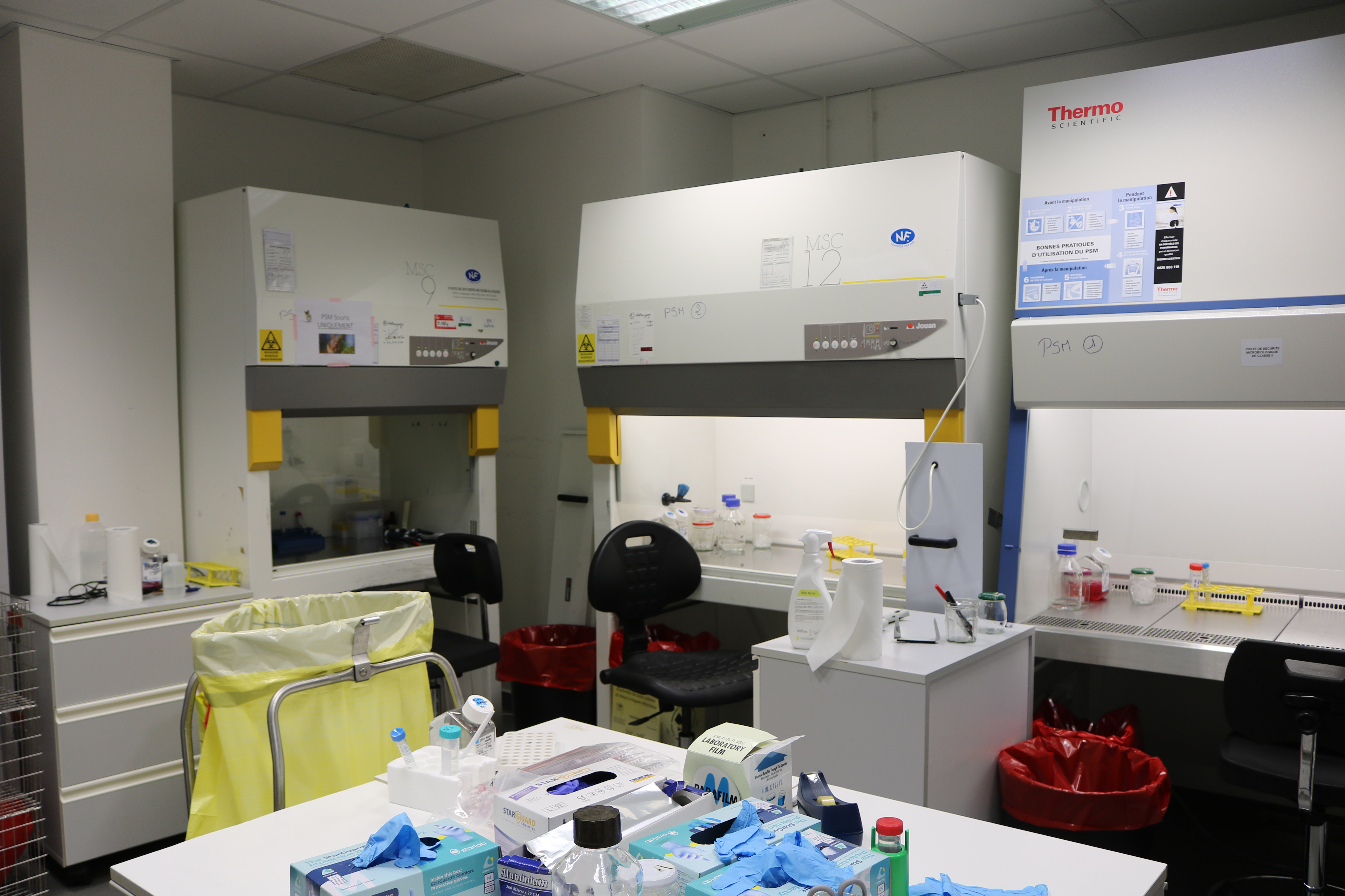 cell culture room